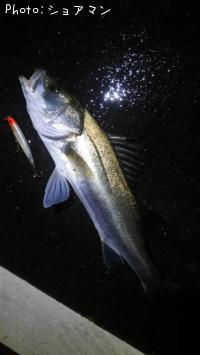 �����Х�