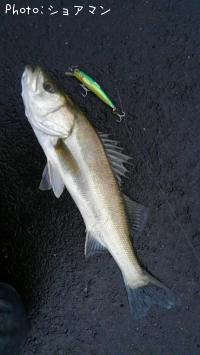 �����Х�