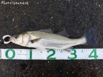 �����Х�