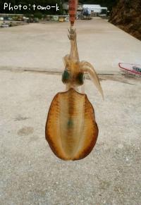 �����ꥤ��