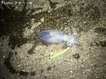 �����ꥤ��