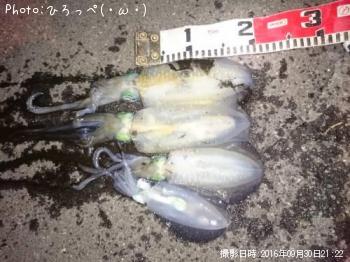 �����ꥤ��