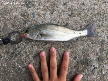 �����Х�