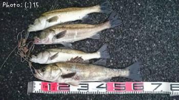 �����Х�