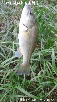 ¥Ö¥é¥Ã¥¯¥Ð¥¹