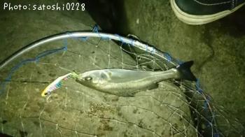 �����Х�