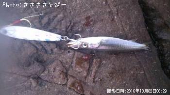 ���ޥ�������