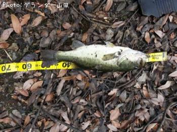 �֥�å��Х�