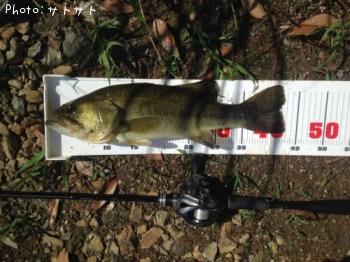 ¥Ö¥é¥Ã¥¯¥Ð¥¹