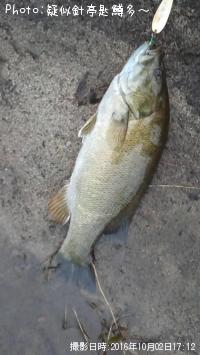 ���⡼��ޥ���