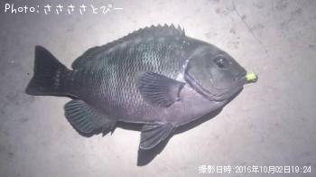 ��Х���᥸��