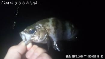 ��Х���᥸��