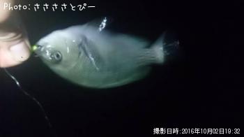 ��Х���᥸��