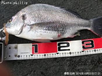 ���ӥ졩�إ�����