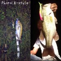 �֥�å��Х�