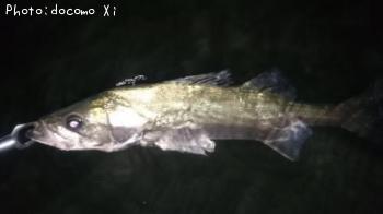 �����Х�