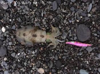 �����ꥤ��