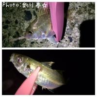 �������ϥʥ���