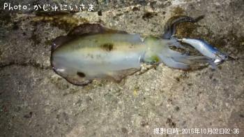 �����ꥤ��