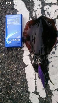 �����ꥤ��