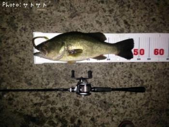 �֥�å��Х�