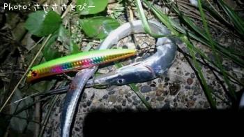 ���Υ���������