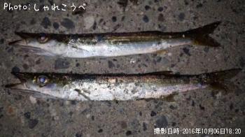 �����������ޥ�