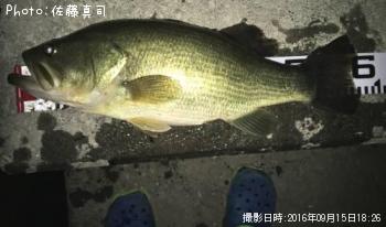 �֥�å��Х�