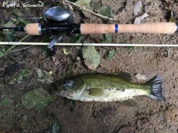 ¥Ö¥é¥Ã¥¯¥Ð¥¹