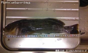 �����ʥ�