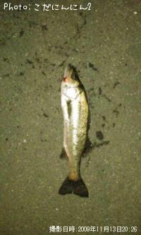 �����Х�