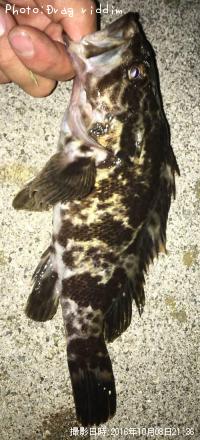 �����Υ���Х�