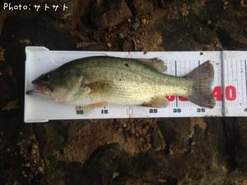 �֥�å��Х�