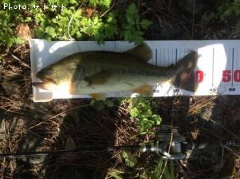 ¥Ö¥é¥Ã¥¯¥Ð¥¹