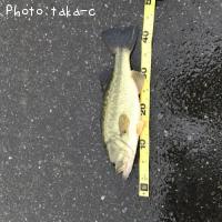 �֥�å��Х�