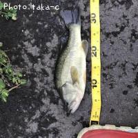 �֥�å��Х�