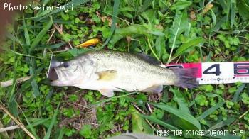 �֥�å��Х�