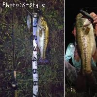 �֥�å��Х�