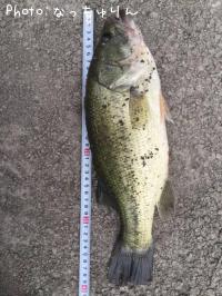 �֥�å��Х�