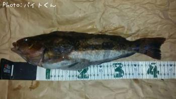 �����ʥ�