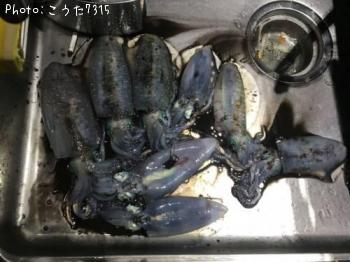 �����ꥤ��