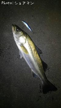 �����Х�