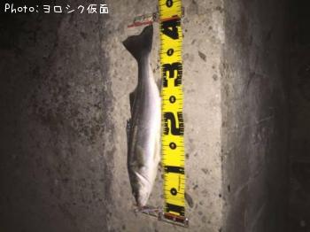 �����Х�