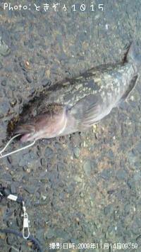 �����ʥ�