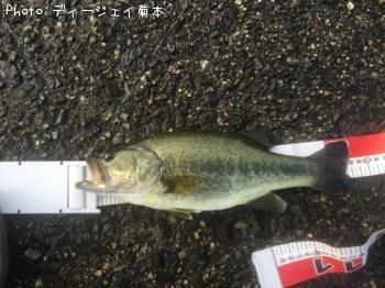 ¥Ö¥é¥Ã¥¯¥Ð¥¹