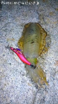 �����ꥤ��