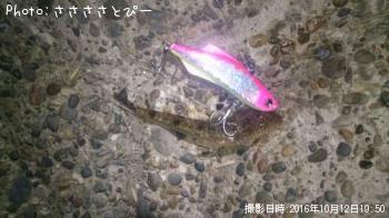 �ߥ˥ޥ���