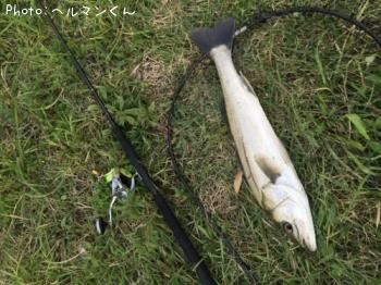 �����Х�