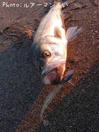 �����Х�