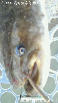�ʥޥ�